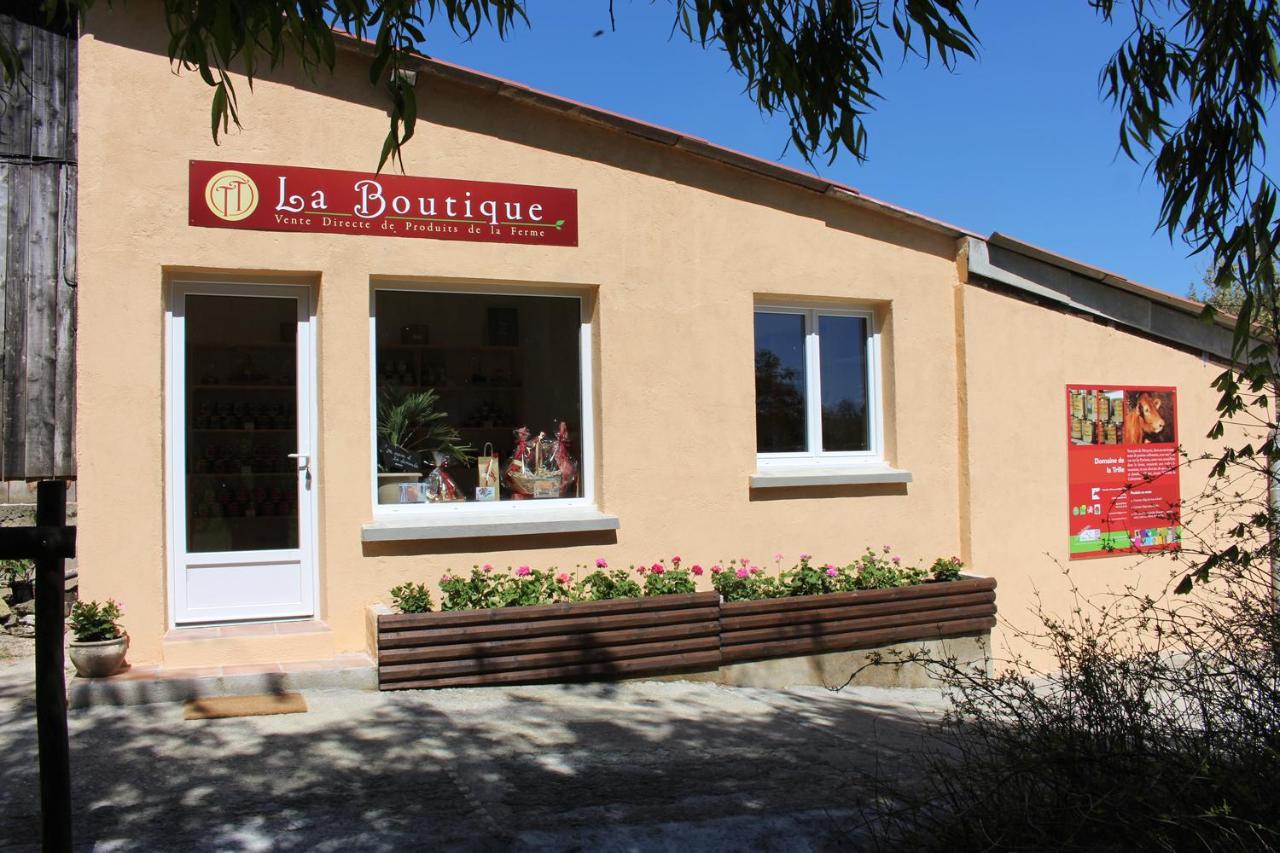 Gites Et Roulottes Au Domaine De La Trille Sainte-Foi ภายนอก รูปภาพ