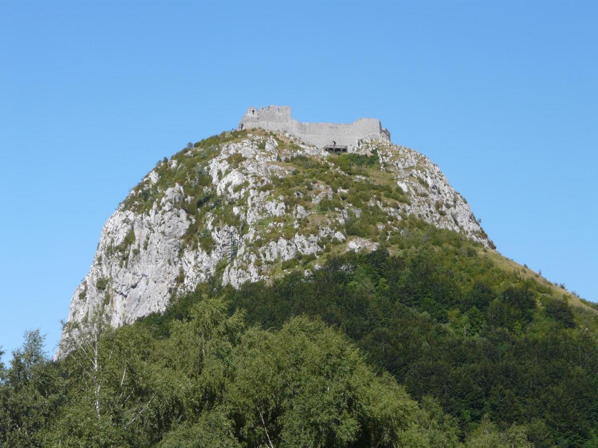 Gites Et Roulottes Au Domaine De La Trille Sainte-Foi ภายนอก รูปภาพ